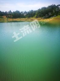 邵阳洞口县51亩水库经营权转让