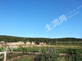 辽宁朝阳建平县80亩林地经营权转让