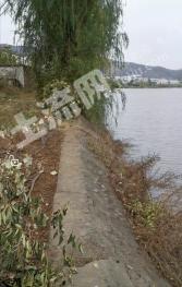 南阳西峡县 700平米 宅基地 使用权出租