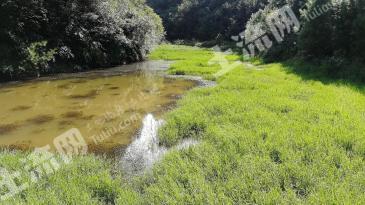 达州通川区 300亩 农场 使用权转让