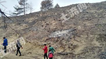 宣城绩溪县 105亩 果园 经营权转让