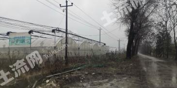 杭州江干区 5亩 旱地 经营权出租