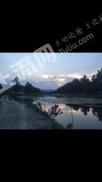 襄陽(yáng)市南漳縣 3000平米 度假山莊 流轉(zhuǎn)