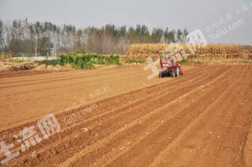 怎么才能快速找到土地 5e254abdbf3cc_sml.jpg