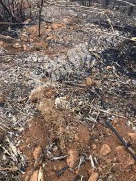 文山麻栗坡县106亩其它用地-空闲用地出租