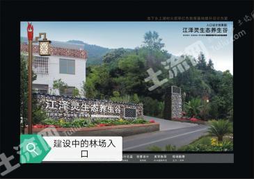 赣州全南县449.5亩有林地经营权转让