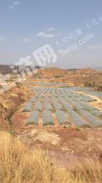 云南楚雄 400亩 水田 经营权出租