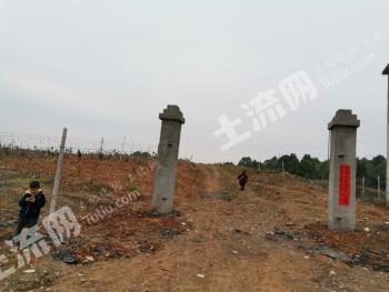 永州零陵区25亩果园经营权出租