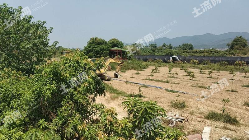 百色田东县 50亩 农场 转让