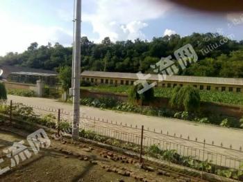 吉林磐石市6500平方米宅基地使用權(quán)出租