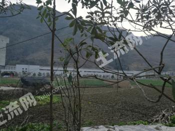 安康汉滨区 800亩 水田 经营权合作