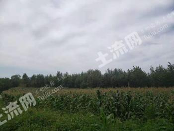 葫芦岛连山区 8亩 旱地经营权转让