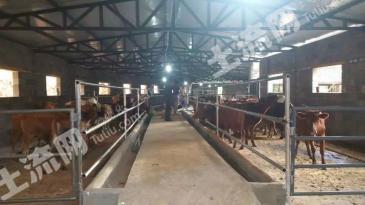 丽江玉龙纳西族自治县 10亩 畜牧养殖用地 经营权出租