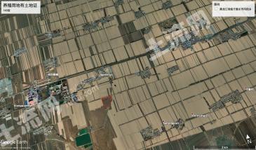 绥化肇东市 140亩 综合养殖用地 经营权转让