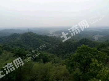 益阳资阳区 3亩 农场 经营权出租