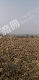 合肥庐江县 100亩 水田 经营权出租