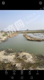 孝感汉川市 52亩 水田 经营权出租