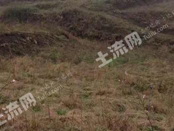 遵义正安县300亩其它用地-荒山出租