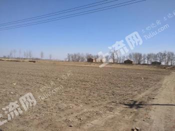 锦州北镇市 18亩 水浇地 经营权出租