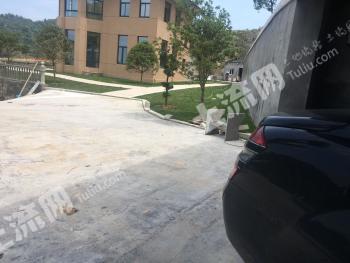 台州临海市 1200亩 有林地 经营权出租