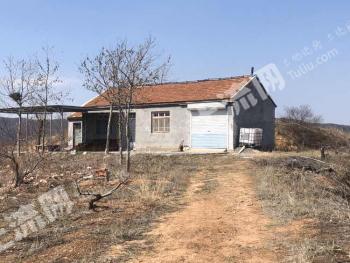 潍坊临朐县180亩荒山使用权转让