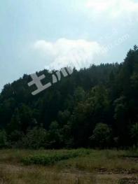 商洛丹凤县 50000亩 有林地 经营权转让