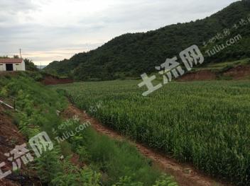 山西晋中昔阳县80亩 综合养种植殖用地 经营权出租