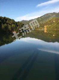 衡阳南岳区 10000亩 有林地 经营权合作