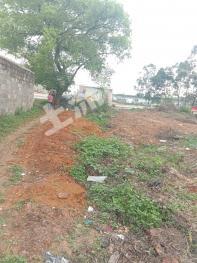 贺州钟山县 112平米 宅基地 使用权出租