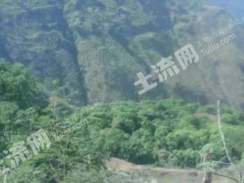 红河红河县 270亩 旱地 经营权转让