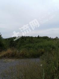 九江武宁县 1000亩 荒山 使用权出租