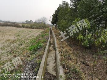 荆州荆州区 23亩 水田 经营权转让