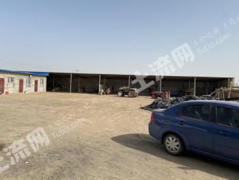 和田皮山县 600亩 水浇地 经营权出租