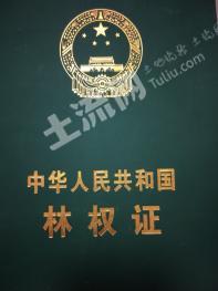 安庆望江县 100亩 有林地 经营权转让