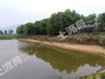 黄石阳新县 180亩 农场 使用权出租