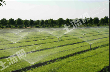 凉山会东县 48600亩 水浇地 经营权出租