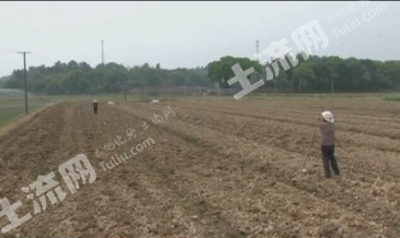 凉山普格县26800亩水浇地经营权出租