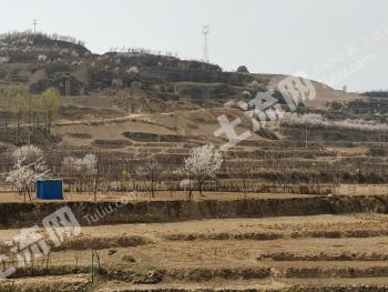 吕梁兴县 800亩 旱地 合作