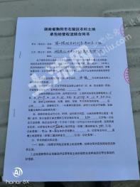 衡阳石鼓区 200亩 水田 经营权出租