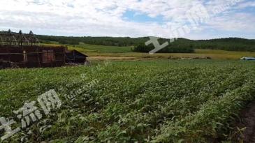 大兴安岭加格达奇区919亩旱地经营权转让