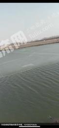 吉林昌邑区 50亩 水产养殖用地 经营权转包