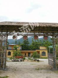 肇庆鼎湖区 33350平米 农家庭院 出租