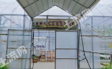 江西九江110亩 菜地经营权转让