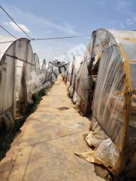 玉溪华宁县 3.5亩 其它特殊用地 出租