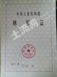 鸡西鸡东县 273亩 有林地 经营权转让