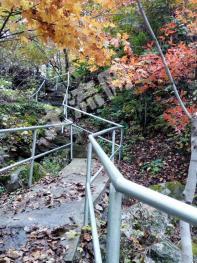 丹東鳳城市110000平米農(nóng)房-度假山莊出租