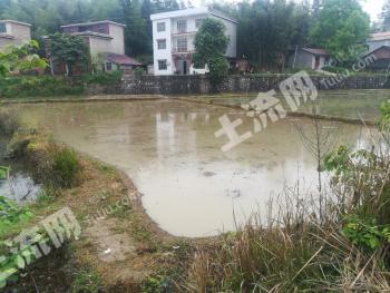 邵阳洞口县2.6亩水田经营权转让