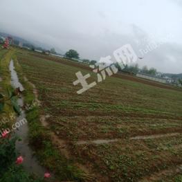 赣州崇义县60亩水田经营权出租