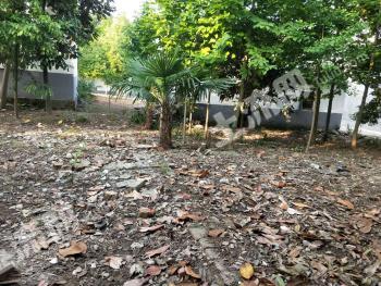 南京浦口区 540平米 宅基地 使用权出租