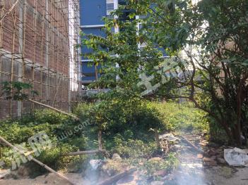 防城港港口區(qū)105平米商業(yè)及住宅-宅基地使用權(quán)出租